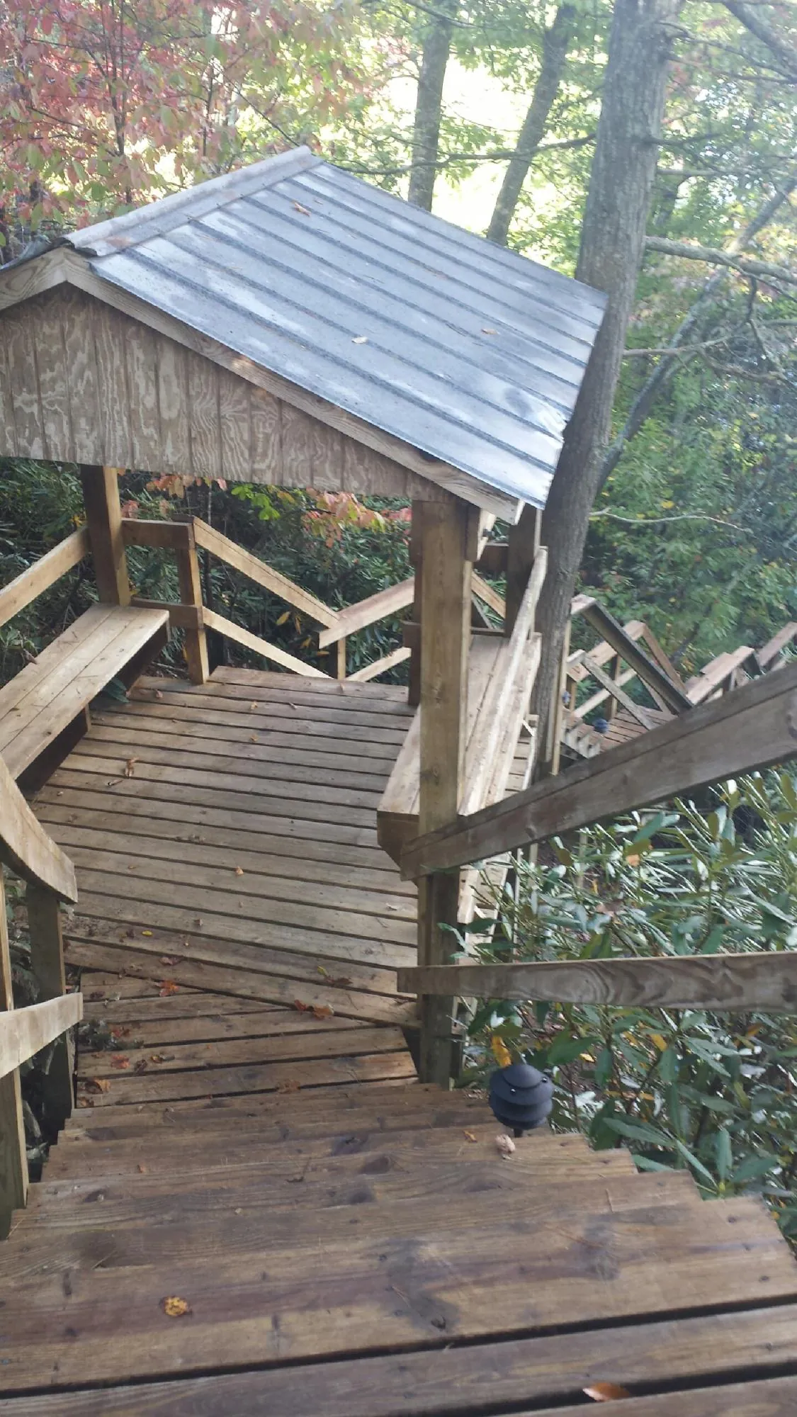 Metal roofed shelter over wooden steps on a wooded walkway — Skylight Repair & Installation work by our crew in Sadieville